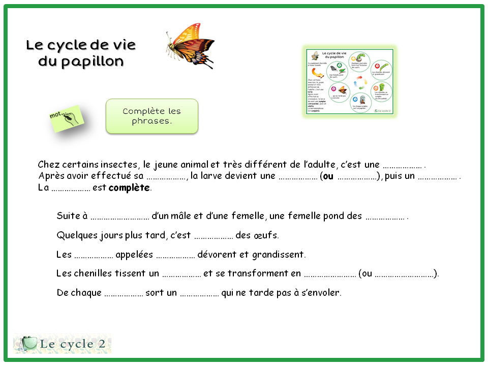 Le Cycle De Vie Du Papillon Questionner Le Monde Le Vivant Cycle 2 Ce1 Ce2 Le Cycle 2 Apres L Ecole